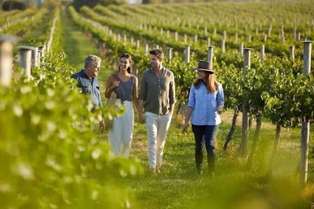 Nemean Wine - International visitors are always welcome